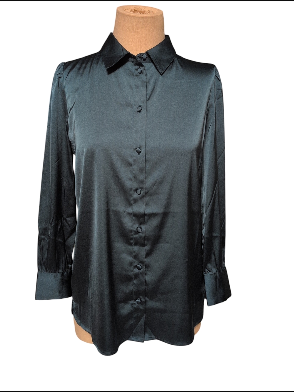 Nwt Lucywhims Blouse Shirt Pacific Teal Travel Career Satin Dress Small